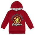 thumbnail image 1 of Harry Potter Gryffindor Little Boys Fleece Pullover Hoodie Little Kid to Big, 1 of 5
