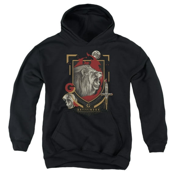 Harry Potter Gryffindor Magicial Mischief Level Up Crest Kids Pull-Over Hoodie (Medium) for Youth Boys and Girls, Black