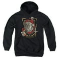 thumbnail image 1 of Harry Potter Gryffindor Magicial Mischief Level Up Crest Kids Pull-Over Hoodie (Small) for Youth Boys and Girls, Black, 1 of 5