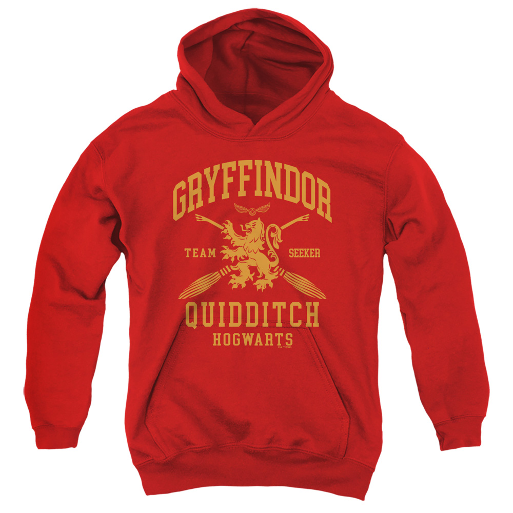 Harry Potter Gryffindor Quidditch Arch Youth Kids Boy/Girls Pull-Over Hoodie, Red, Medium