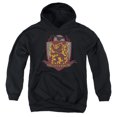 thumbnail image 1 of Harry Potter Gryffindor Quidditch Shield Logo Kids Pull-Over Hoodie (Small) for Youth Boys and Girls, Black, 1 of 5