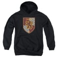 thumbnail image 1 of Harry Potter Gryffindor Shield Crest Kids Pull-Over Hoodie (Medium) for Youth Boys and Girls, Black, 1 of 5