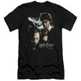 thumbnail image 1 of Harry Potter Harry And Sirius Mens Slim Fit Shirt, 1 of 2