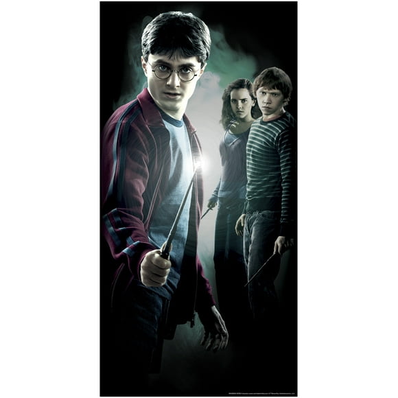 Harry Potter Harry Door Cover
