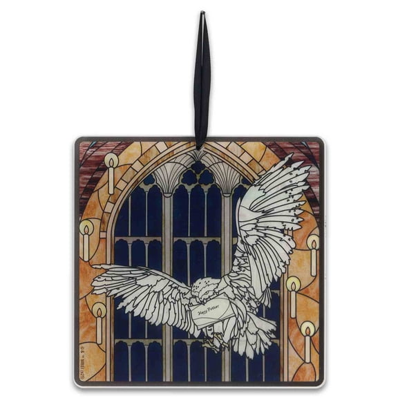 Harry Potter Hedwig Die Cut Acrylic Wall Dcor 6"