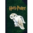 thumbnail image 1 of Pre-Owned Harry Potter: Hedwig the Owl (Hardcover) 0439236541 9780439236546, 1 of 1