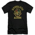 thumbnail image 1 of Harry Potter Hogwarts Alumni S/S Adult 30/1 T-Shirt Black, 1 of 2