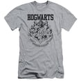 thumbnail image 1 of Harry Potter - Hogwarts Athletic - Premium Slim Fit Short Sleeve Shirt - X-Large, 1 of 2