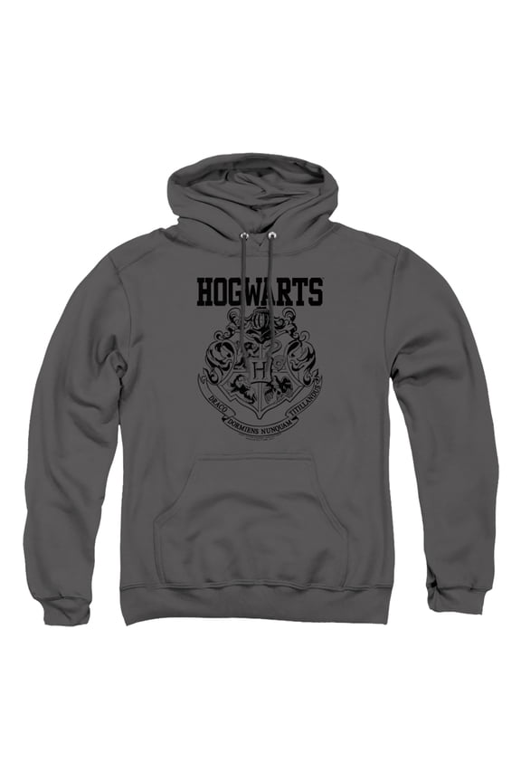 Hogwarts Athletic Unisex Adult Pull-Over Heather Hoodie, Medium, Charcoal