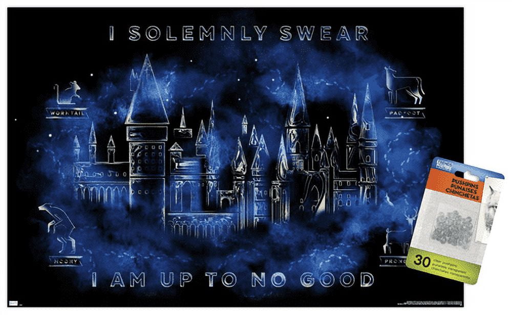Harry Potter - Hogwarts Castle Magic Wall Poster with Pushpins, 14.725" x 22.375"