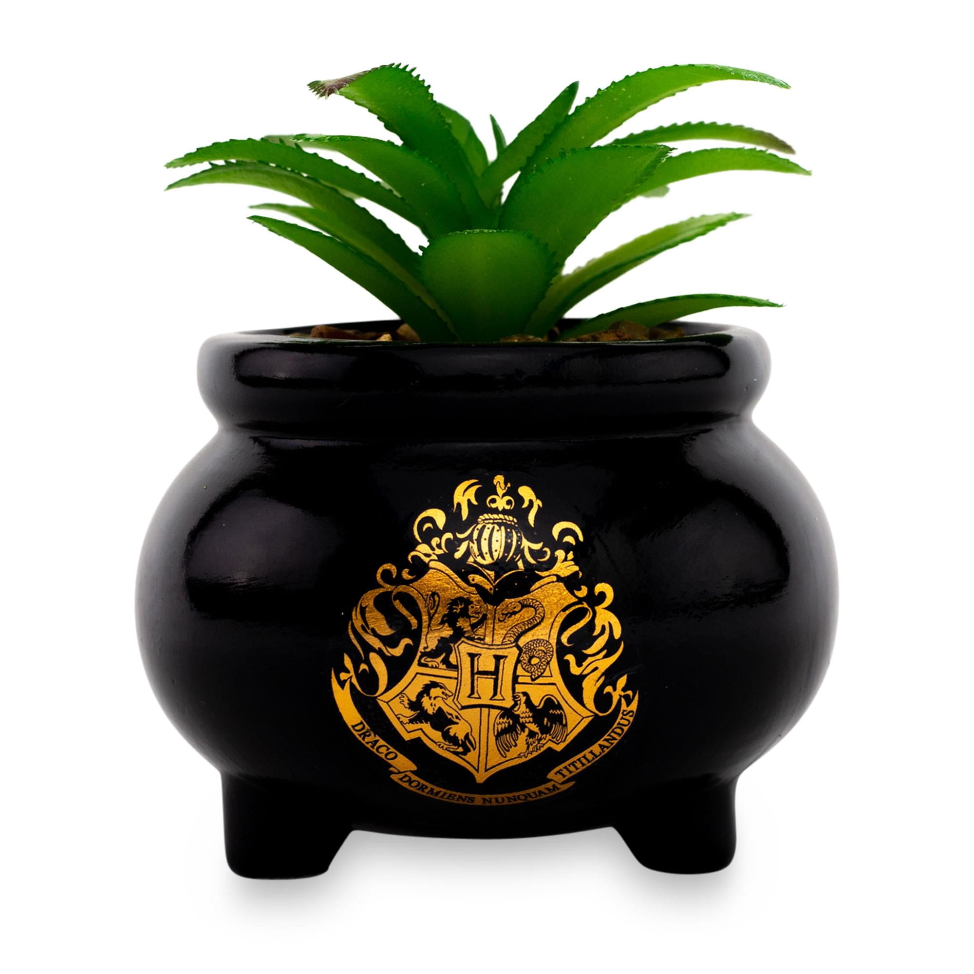 Harry Potter Hogwarts Cauldron Ceramic Mini Planter With Artificial