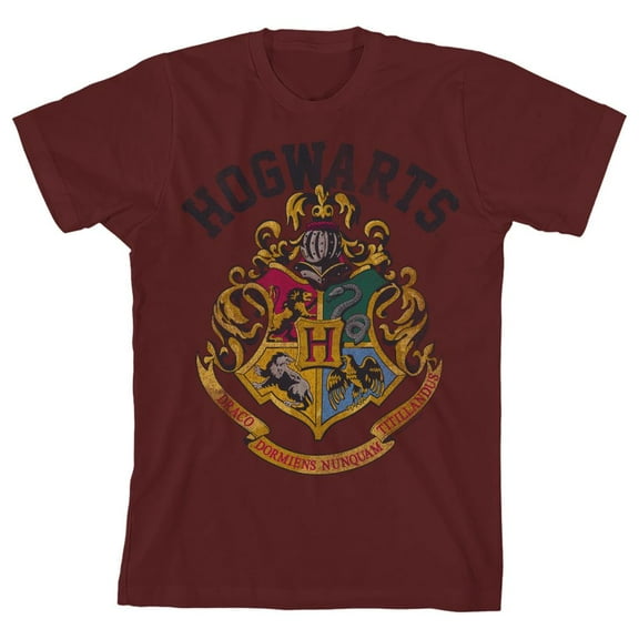 Harry Potter Hogwarts Crest Short-Sleeve Youth Boys' Graphic Tee T-Shirt-Small