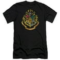 thumbnail image 1 of Harry Potter Hogwarts Crest S/S Adult 30/1 T-Shirt Black, 1 of 2