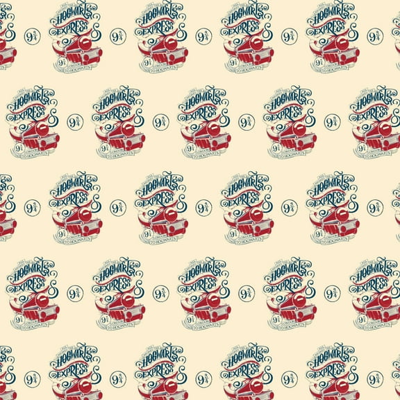Harry Potter Hogwarts Express Premium Roll Gift Wrap Wrapping Paper
