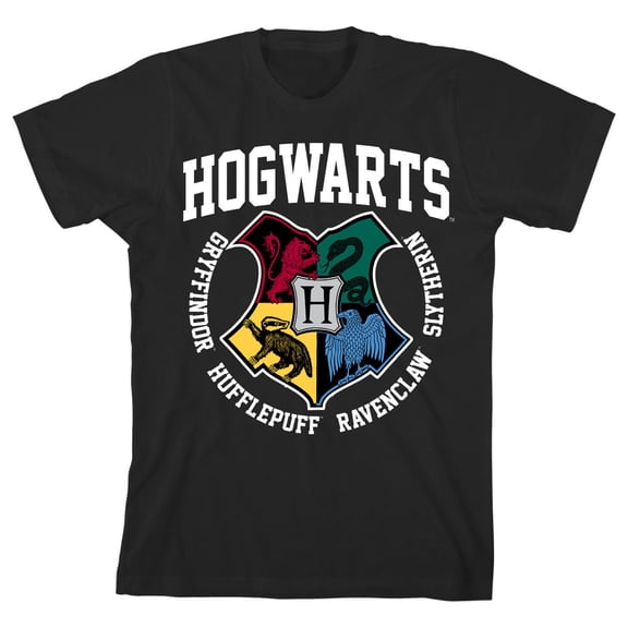 Harry Potter Hogwarts Houses Pride Boy's Black T-shirt-Large