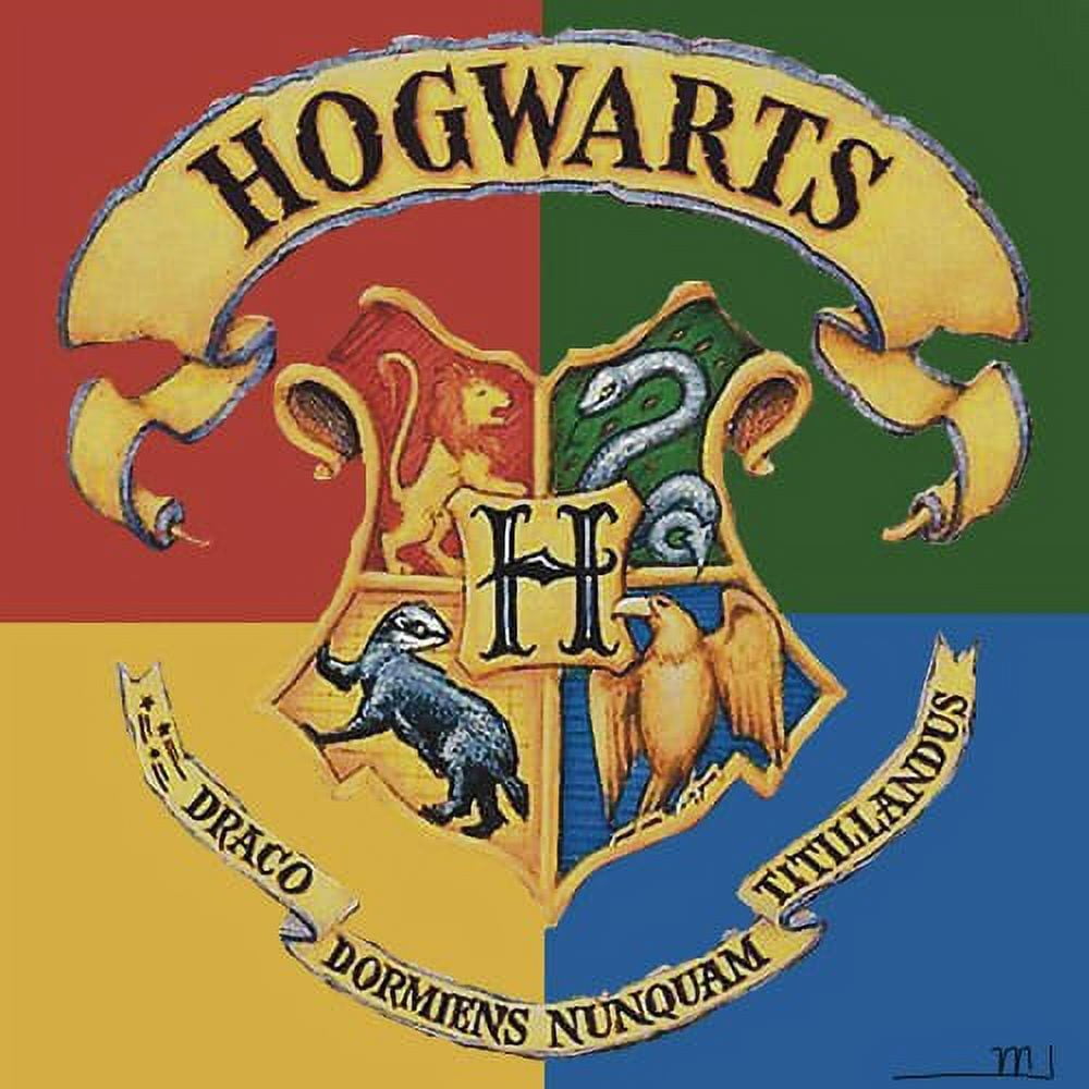 Harry Potter Hogwarts School of Witchcraft and Wizardry Houses Draco Dormiens Nunquam