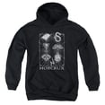 thumbnail image 1 of Harry Potter - Horcrux Symbols - Youth Hooded Sweatshirt - Small, 1 of 2