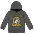 thumbnail image 1 of Harry Potter Hufflepuff Little Boys Fleece Pullover Hoodie Little Kid to Big, 1 of 5