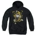 thumbnail image 1 of Harry Potter Hufflepuff Magicial Mischief Level Up Crest Kids Pull-Over Hoodie (X-Large) for Youth Boys and Girls, Black, 1 of 5