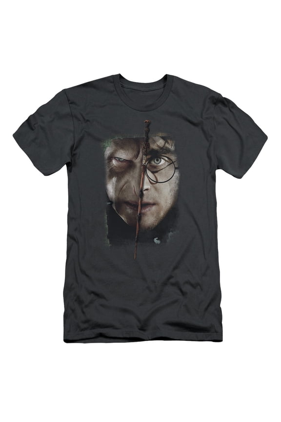 Harry Potter It All Ends Here S/S Adult 30/1 T-Shirt Charcoal