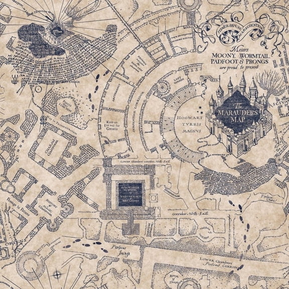 Harry Potter Marauder's Map Peel & Stick Wallpaper