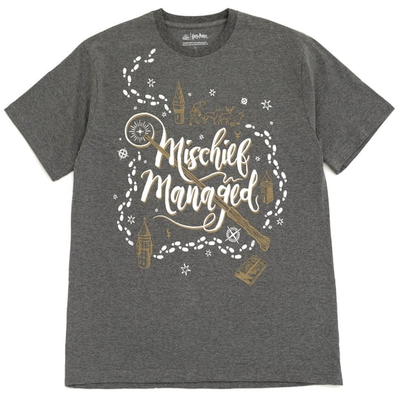 Harry Potter Men's Short Sleeve Graphic T-Shirt Charcoal Heather