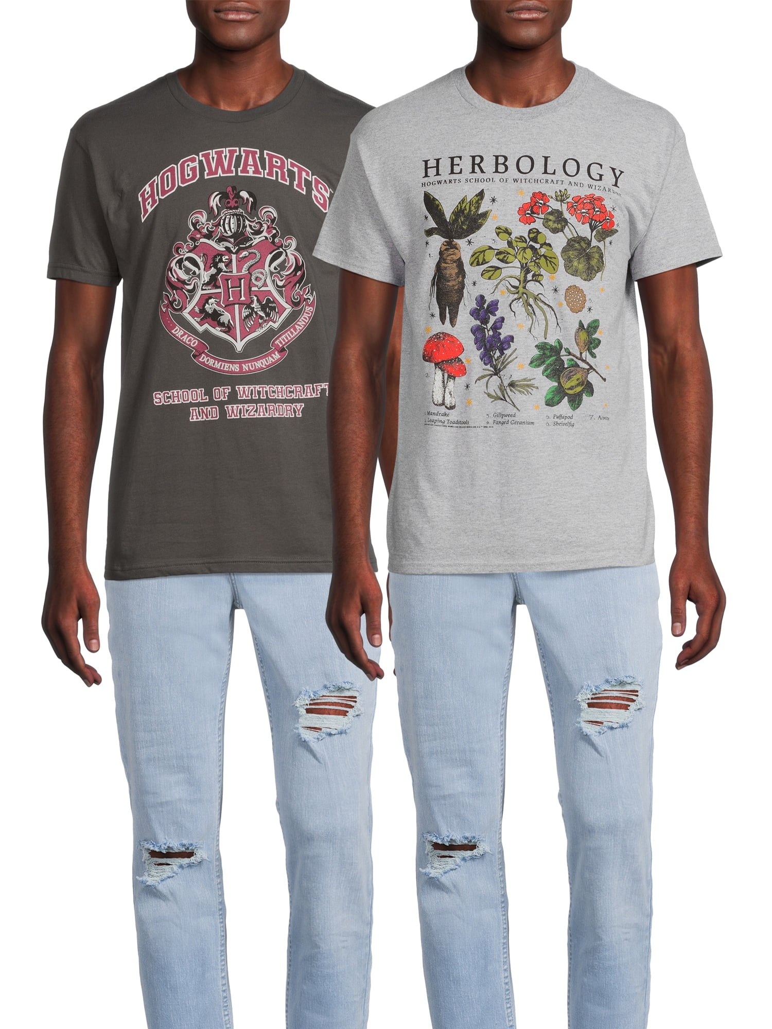 Harry Potter Men's & Big Men's Hogwarts and Herbology Graphic Tee T