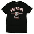 thumbnail image 1 of Harry Potter Mens' Gryffindor Realistic Lion Hogwarts Graphic T-Shirt, 1 of 5