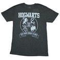 thumbnail image 1 of Harry Potter  Mens T-Shirt - Silver Hogwarts 4 House Crest Image (Large), 1 of 1