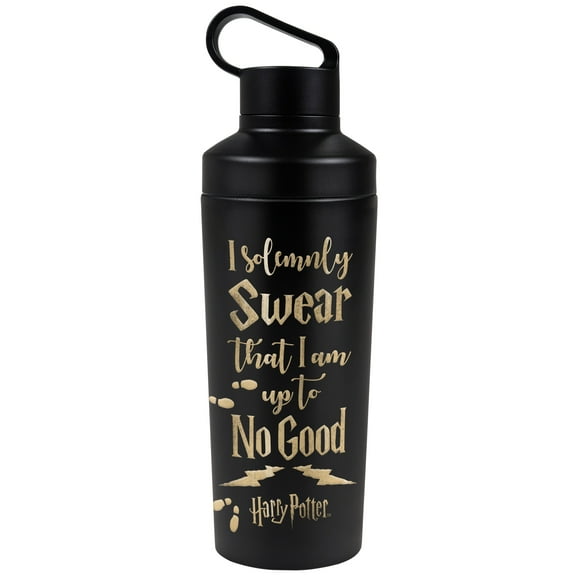 Harry Potter Official No Good 18 oz Insulated Water Bottle, Leak Resistant, Vacuum Insulated Stainless Steel with 2-in-1 Loop Cap