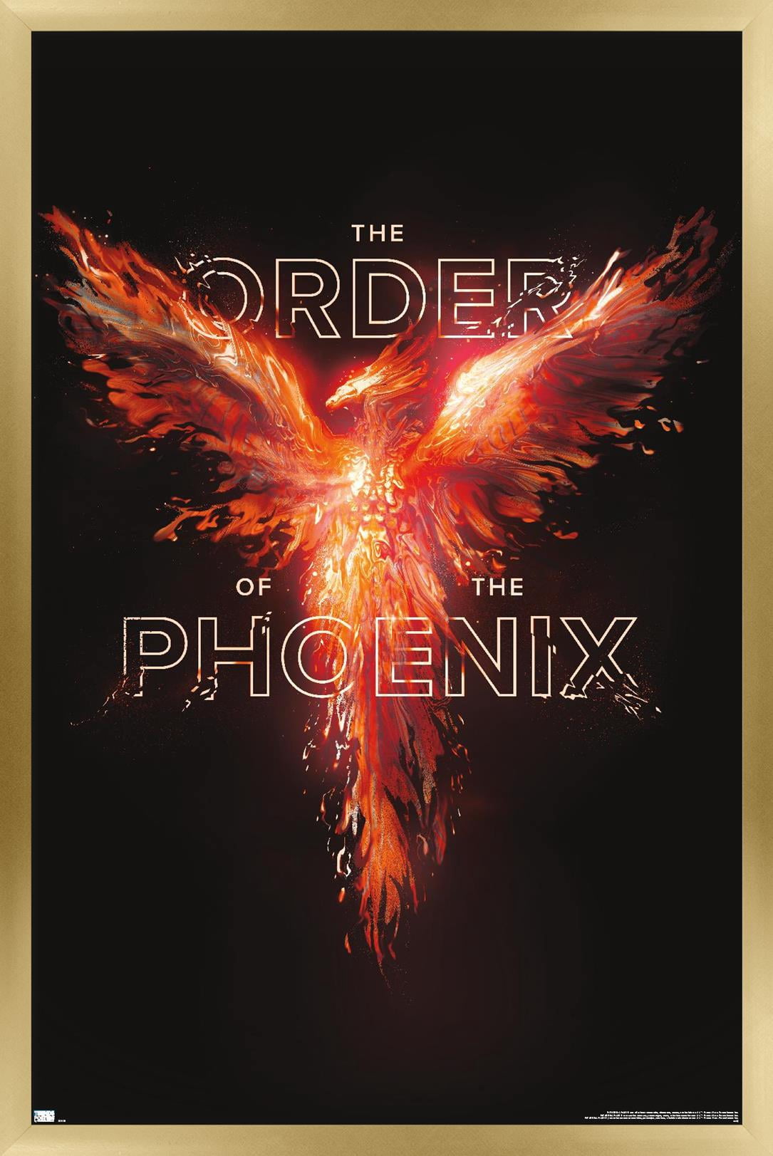 Harry Potter - Order of the Phoenix Magic Wall Poster, 14.725" x 22.375" Framed