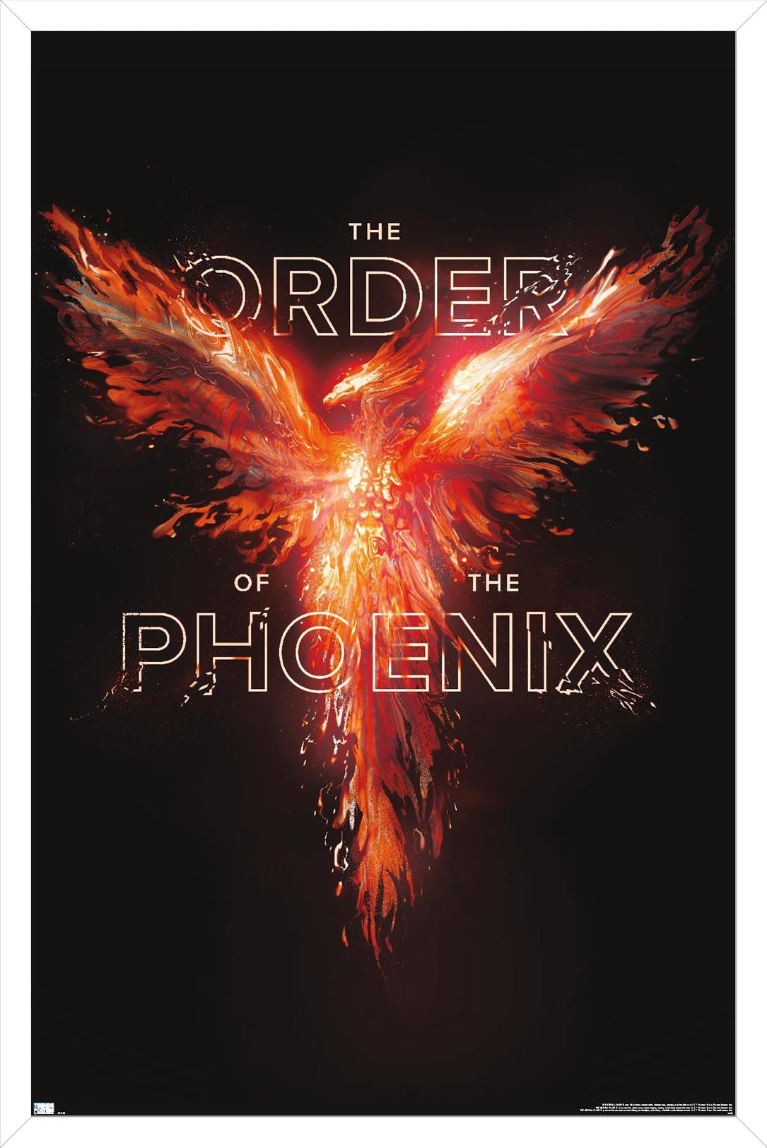 Harry Potter - Order of the Phoenix Magic Wall Poster, 22.375" x 34" Framed