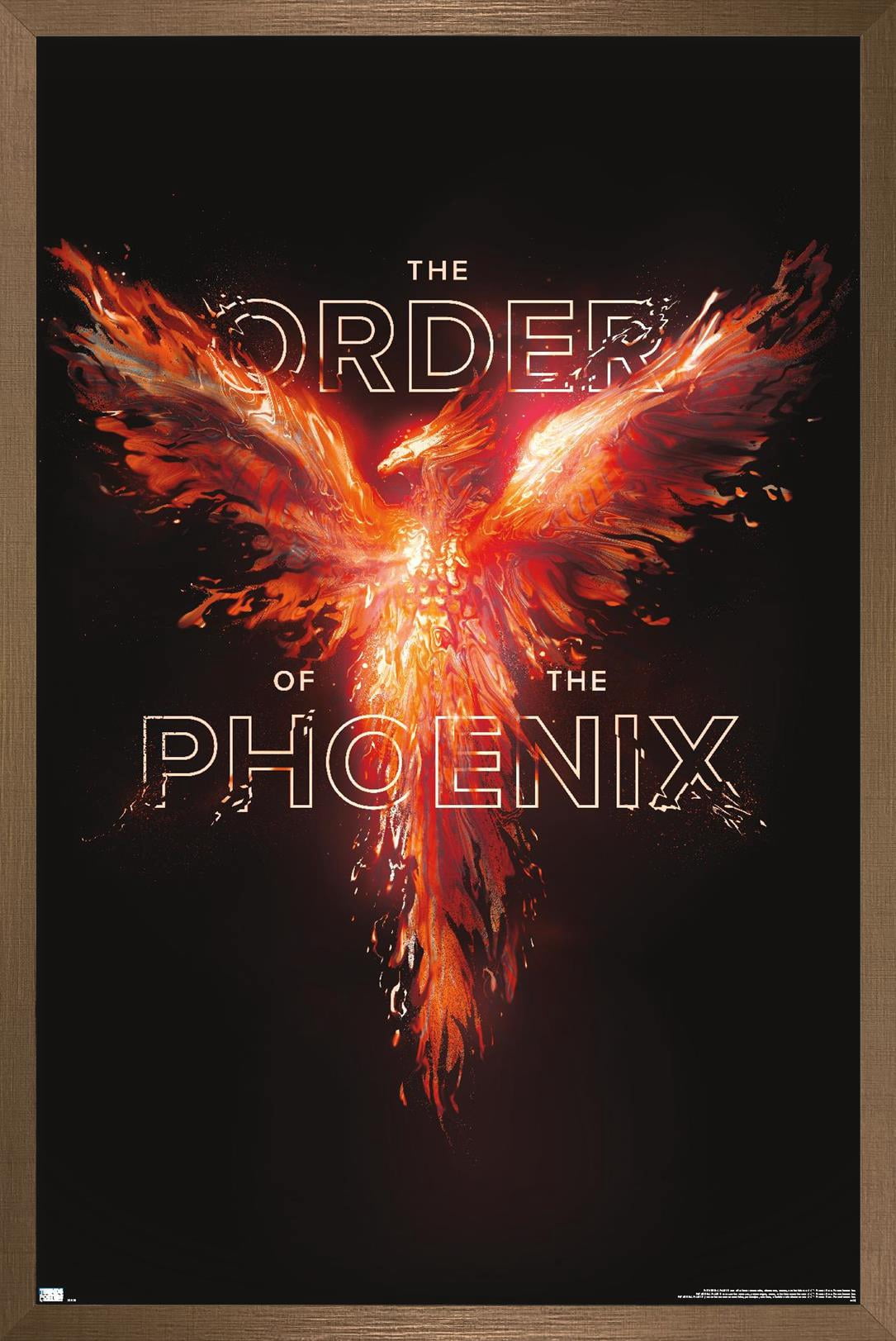 Harry Potter - Order of the Phoenix Magic Wall Poster, 22.375" x 34" Framed