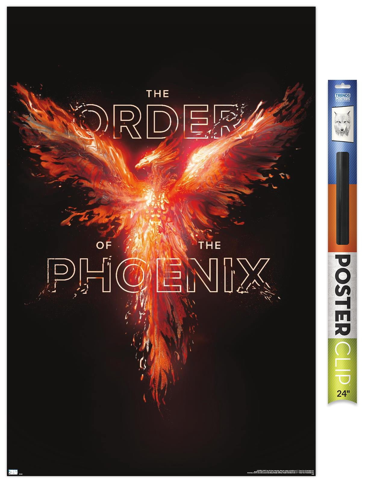 Harry Potter - Order of the Phoenix Magic Wall Poster, 22.375" x 34"