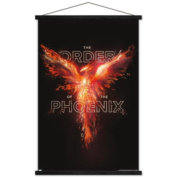 Harry Potter - Order of the Phoenix Magic Wall Poster with Magnetic Frame, 22.375" x 34"