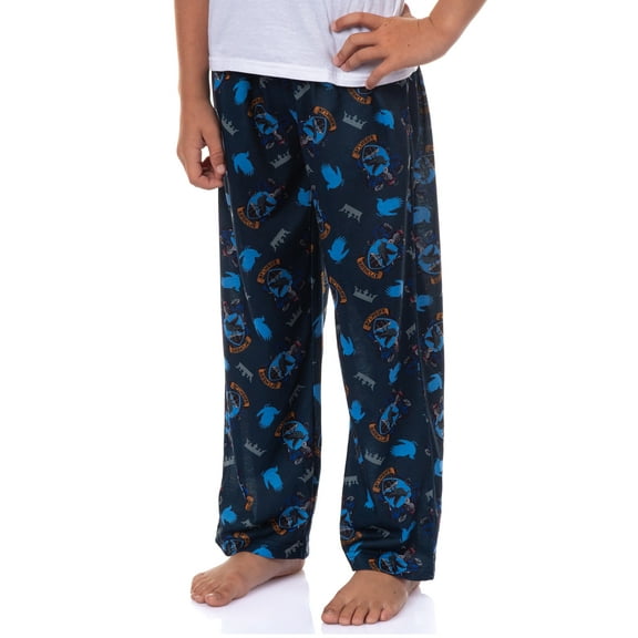 Harry Potter Pajamas Boy's House Crest Icons Lounge Pj Pants