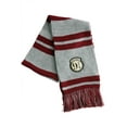 thumbnail image 1 of Harry Potter Platform 9 3/4 Striped Scarf with Foil Standard, 1 of 1