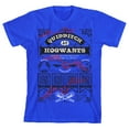 thumbnail image 1 of Harry Potter Quidditch Confetti Blue Boy's Short-Sleeve T-shirt-Large, 1 of 7