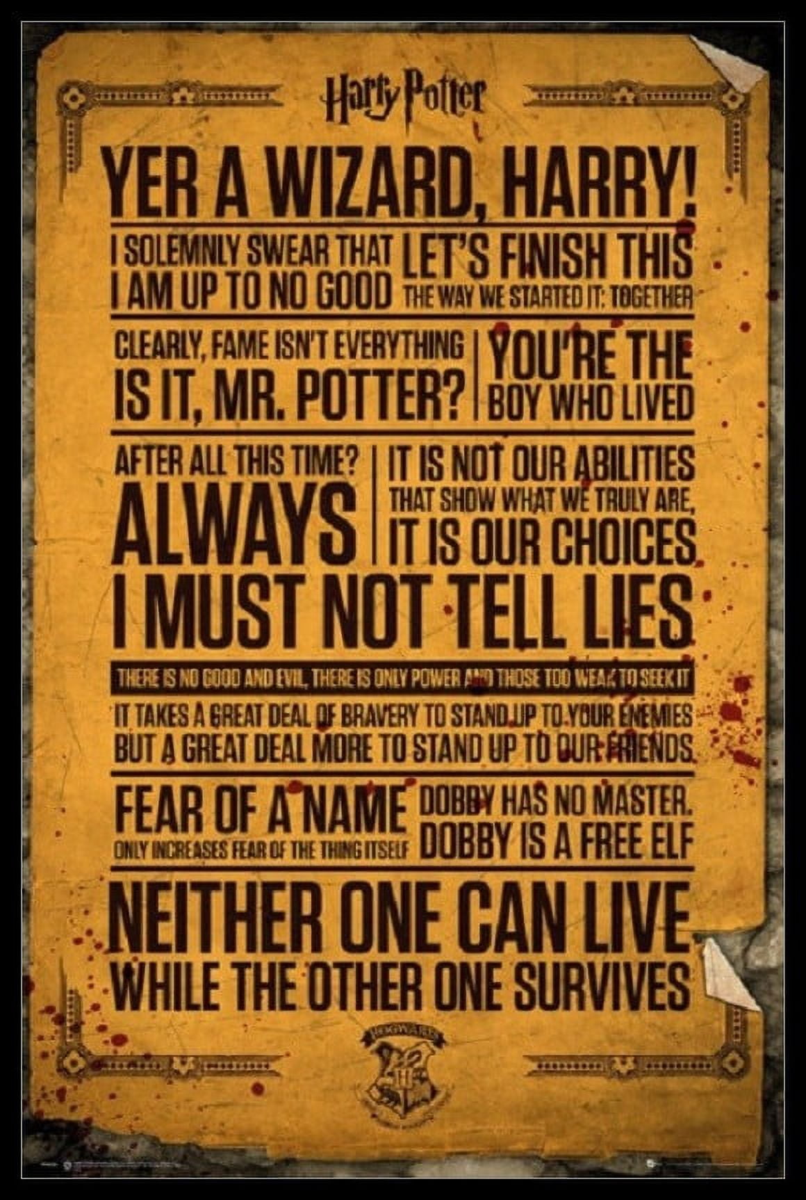 Harry Potter poster: Hogwarts (36x24)