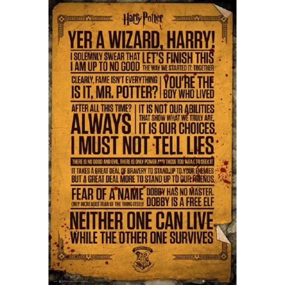Harry Potter Quotes Poster by (24 x 36)