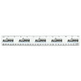 thumbnail image 1 of Harry Potter Ravenclaw Alumni 12 Inch Standard and Metric Plastic Ruler, 1 of 4