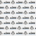 thumbnail image 1 of Harry Potter Ravenclaw Alumni Premium Roll Gift Wrap Wrapping Paper, 1 of 5