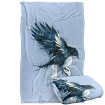 Harry Potter Ravenclaw Wash Silky Touch Super Soft Throw Blanket 36' x 58'
