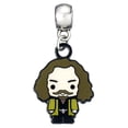 thumbnail image 1 of Harry Potter Sirius Black Slider Charm, 1 of 2
