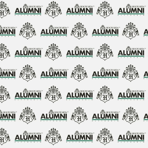 Harry Potter Slytherin Alumni Premium Roll Gift Wrap Wrapping Paper