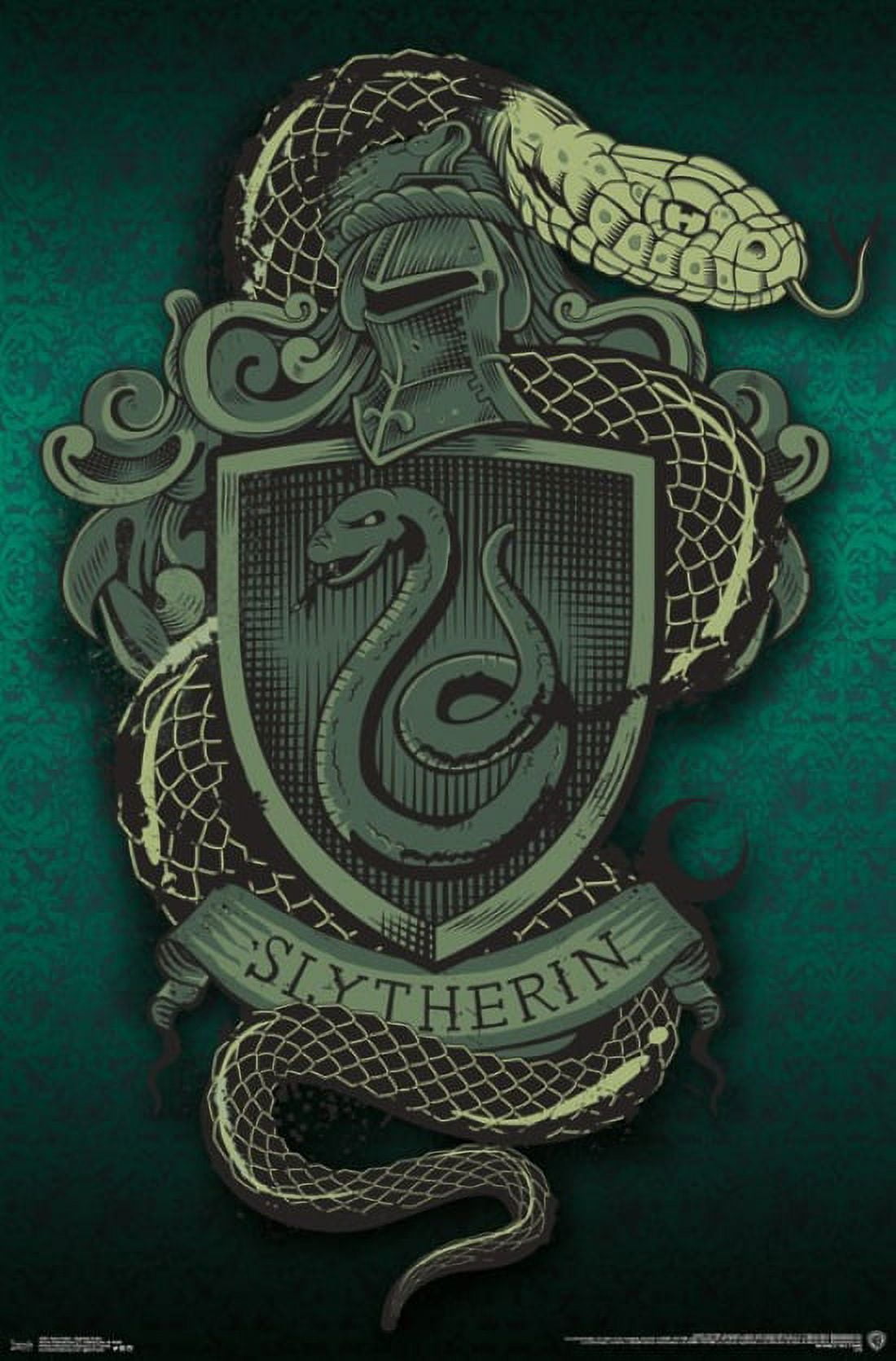 Harry Potter Slytherin Stock Illustrations – 25 Harry Potter Slytherin  Stock Illustrations, Vectors & Clipart - Dreamstime