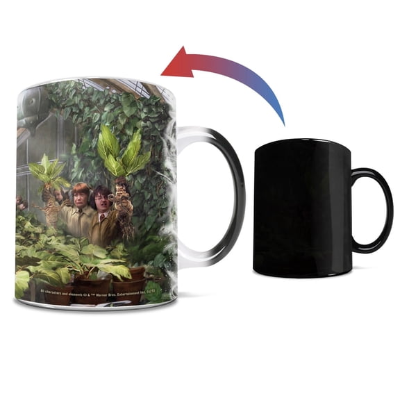 Harry Potter Thomas Kinkade Studios (Herbology Class) Morphing Mugs Heat-Sensitive Mug MMUG1733