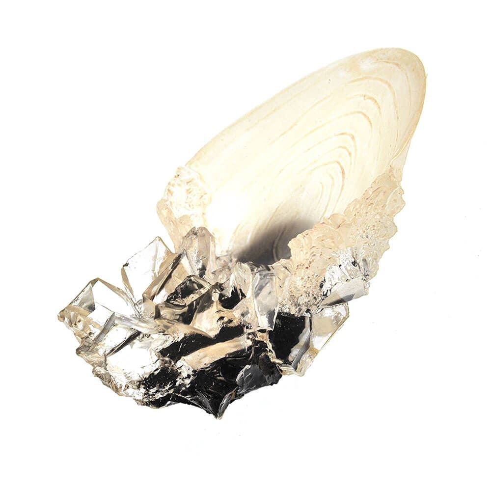 クリスタルゴブレット　ハリーポッター Harry Potter The Crystal Goblet by The Noble Collection, Clear