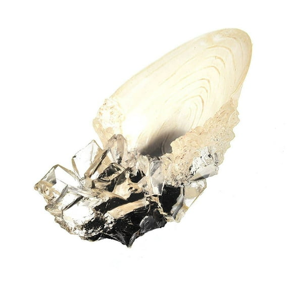 Harry Potter The Crystal Goblet