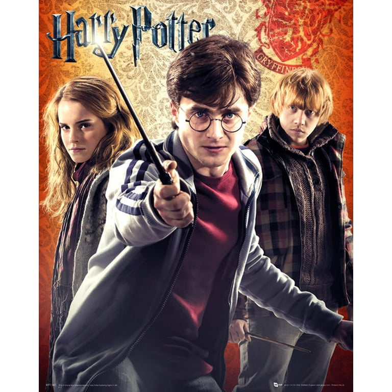 Harry Potter (Movies) Posters & Wall Art Prints
